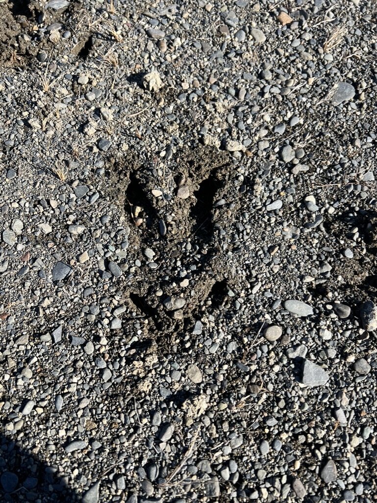 Trails End memories photo 28